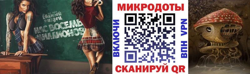 Купить где  Холм  Псилоцибиновые грибы Cubensis 